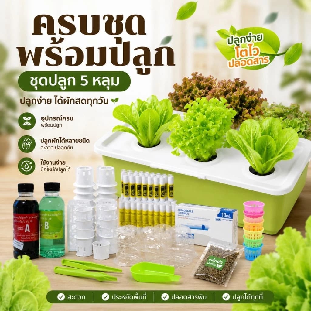 ชุดทดลองกระบะปลูกผักน้ำนิ่ง 5 หลุมปลูก สามารถปลูกได้ทั้งผักไทย ผักสลัด ผักจีน