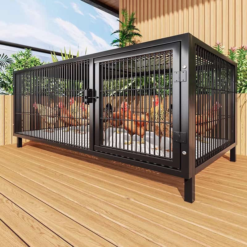 บ้านไก่สำหรับใช้ในบ้าน กลางแจ้ง ท่อสี่เหลี่ยมขนาดใหญ่ กันฝน ภายในบ้าน ชนบท ทำความสะอาดมูลอัตโนมัติ กรงเลี้ยงไก่ เป็ด ห่า