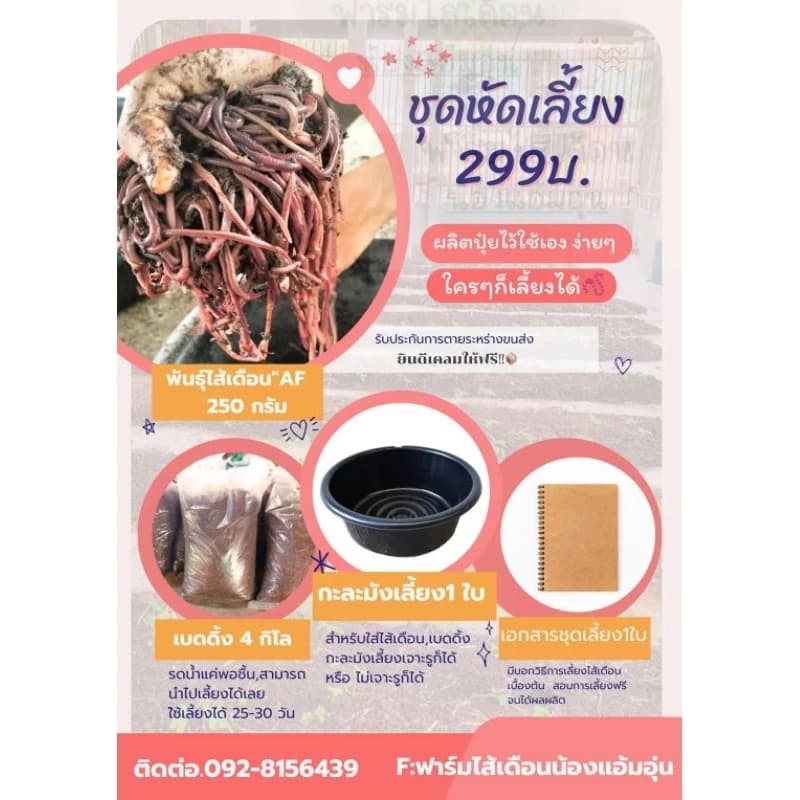 ชุดหัดเลี้ยงไส้เดือนAF ไส้เดือนตกปลา