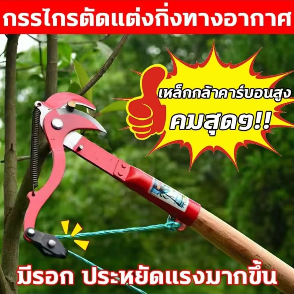 #กรรไกรตัดแต่งกิ่งไม้ #ตัดกิ่งมะม่วง #เลื่อยตัดแต่งกิ่ง #เครื่องมือทำสวน #เครื่องมือสวนผลไม้ #เก็บกรรไกรผลไม้