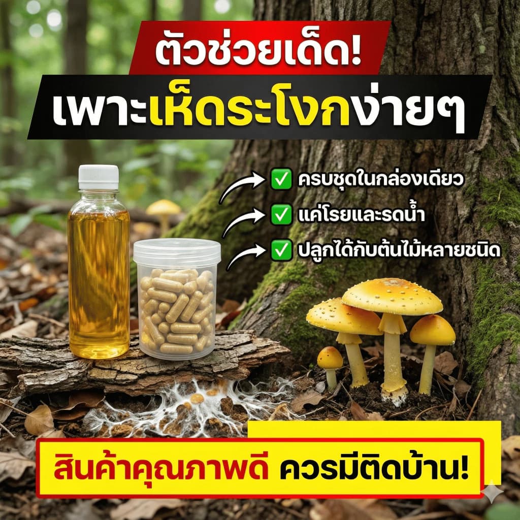 ชุดเพาะเห็ดระโขกเหลือง ใช้งานง่าย ปลูกดี ขึ้นเต็มสวน