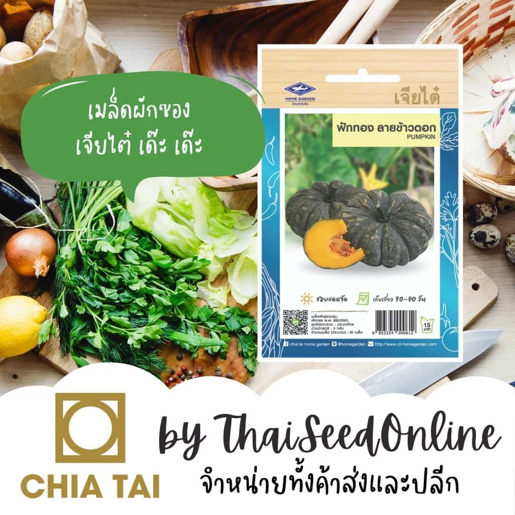 CTOP เมล็ดพันธุ์ ฟักทองOP ลายข้าวตอก ประมาณ20เมล็ด ตราเจียไต๋ Pumpkin ฟักทองดาวกระจาย…
