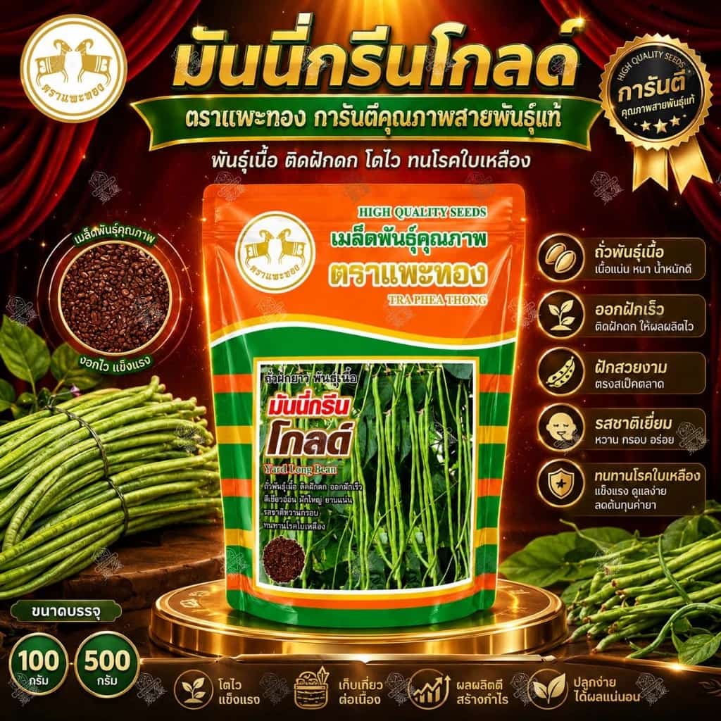 เมล็ดพันธุ์ ถั่วฝักยาว มันนี่กรีน โกลด์ ตราแพะทอง (100g / 500g) พันธุ์เนื้อ ติดฝักดก…