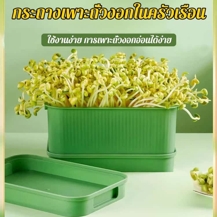 【งอกเร็ว 3 วัน ปลอดเชื้อรา】กระถางปลูกต้นอ่อนแบบพิเศษ สำหรับครัวเรือน…