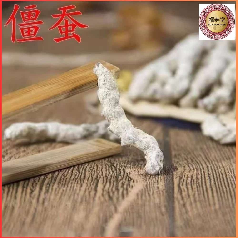 จังชาน (Jiang Can) 正品白僵蚕藥材 หรือ หนอนไหมโรคขาวซึ่งเป็นสมุนไพรจีนชนิดหนึ่ง