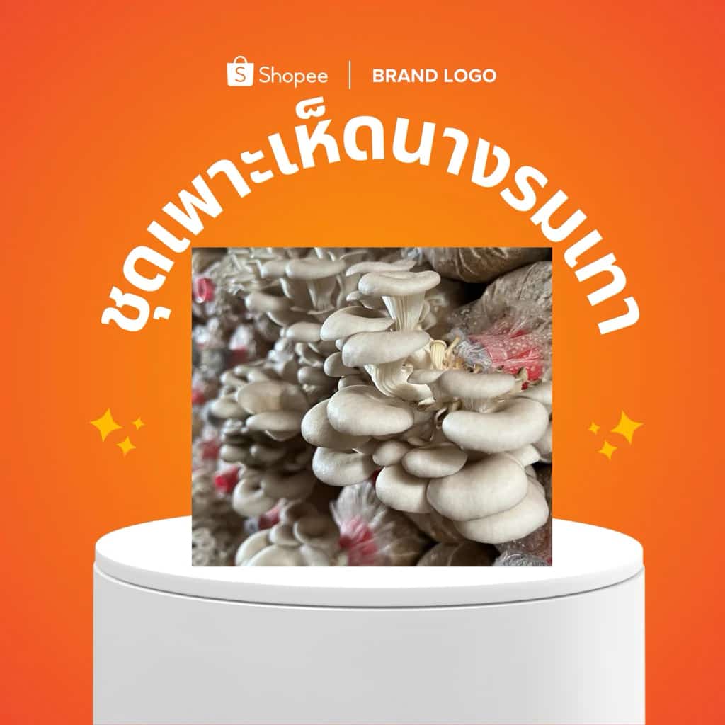 ชุดเพาะเห็ดนางรมเทา 22 ก้อน พร้อมปลูก