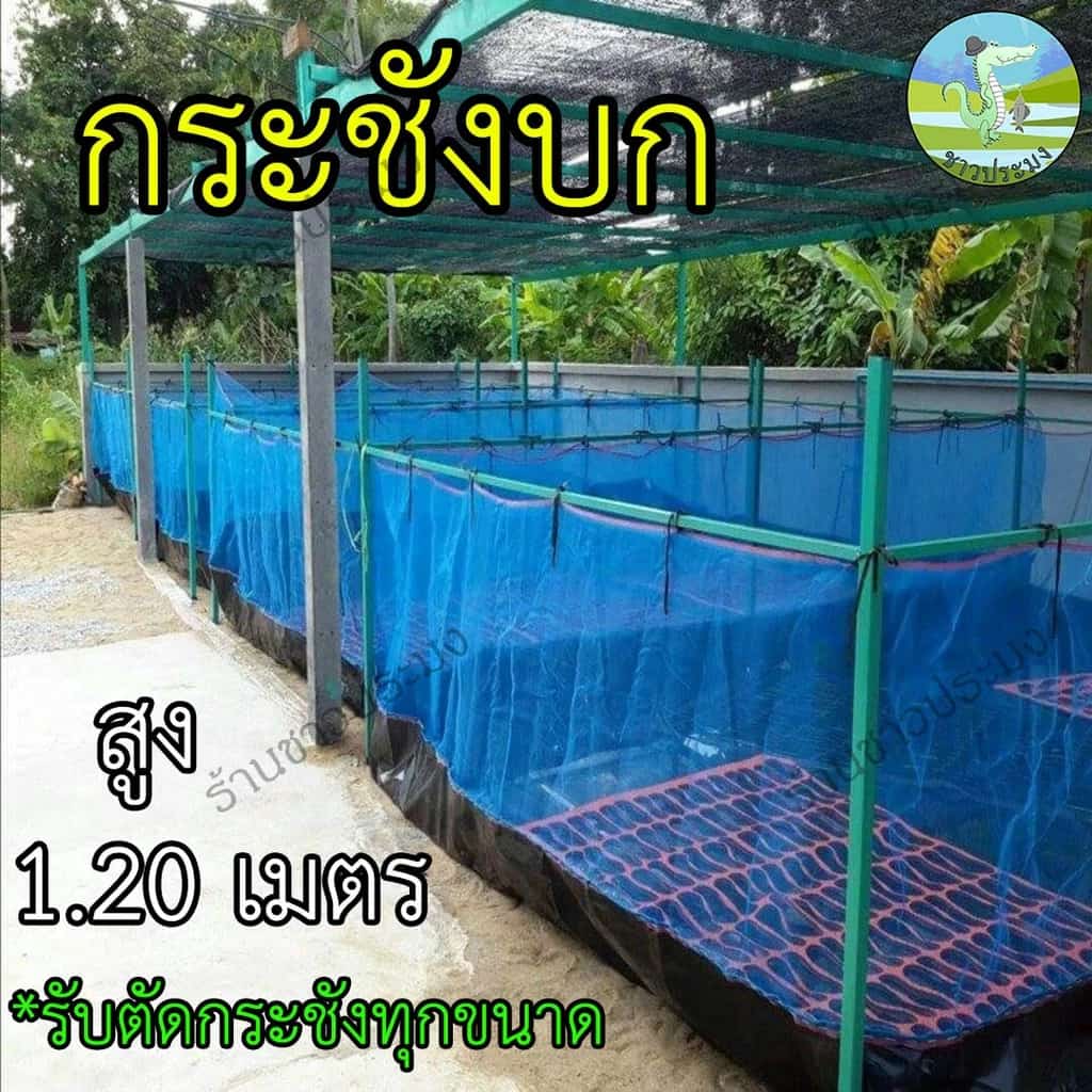 กระชังบก 1x1 1x2 1.5x2 2x2 2x3 3x4 เมตร สูง 1.2เมตร กระชังปลาก,เลี้ยงกบ,เลี้ยงปลามเลี้ยงกุ้งเลี้ยงปู