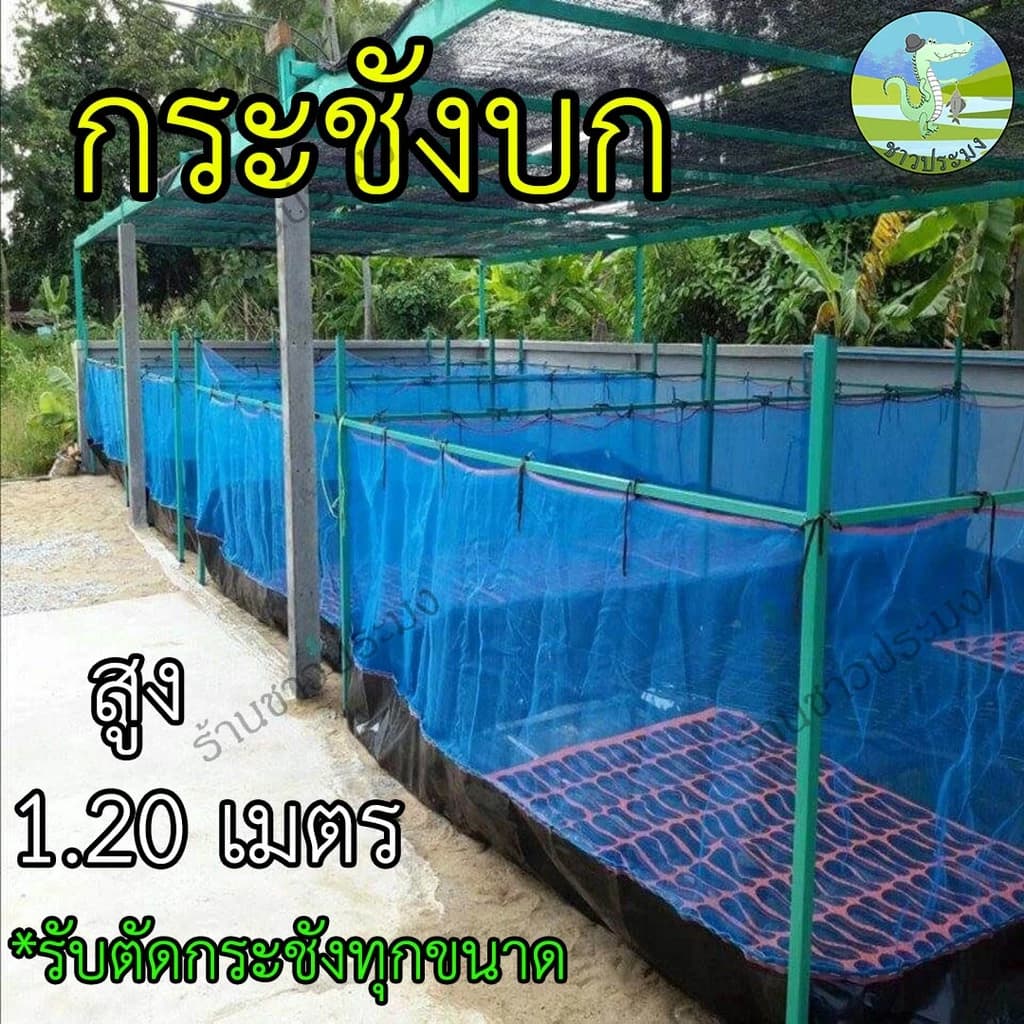 กระชังบก 1x1 1x2 1.5x2 2x2 2x3 3x4 เมตร สูง 1.2เมตร กระชังปลาก,เลี้ยงกบ,เลี้ยงปลามเลี้ยงกุ้งเลี…