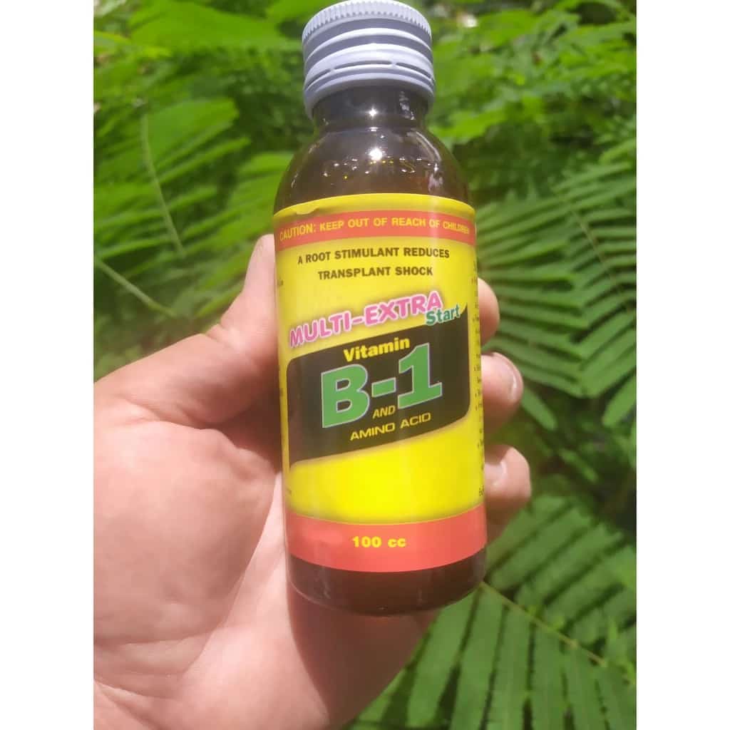 B1 vitamin น้ำนาเร่งราก B1 เร่งราก แตกราก เพิ่มราก แช่ท่อนพันธุ์ กิ่งตอน กิ่งปักชำ…