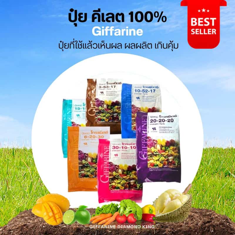 ปุ๋ยกิฟฟารีน ปุ๋ยเกล็ดกิฟฟารีน ปุ๋ยเร่งโต ปุ๋ยทางใบ ปุ๋ยทุเรียน ปุ๋ยทุเรียนเล็ก ปุ๋ยเปิดตาดอก ปุ๋ยบำรุงใบ