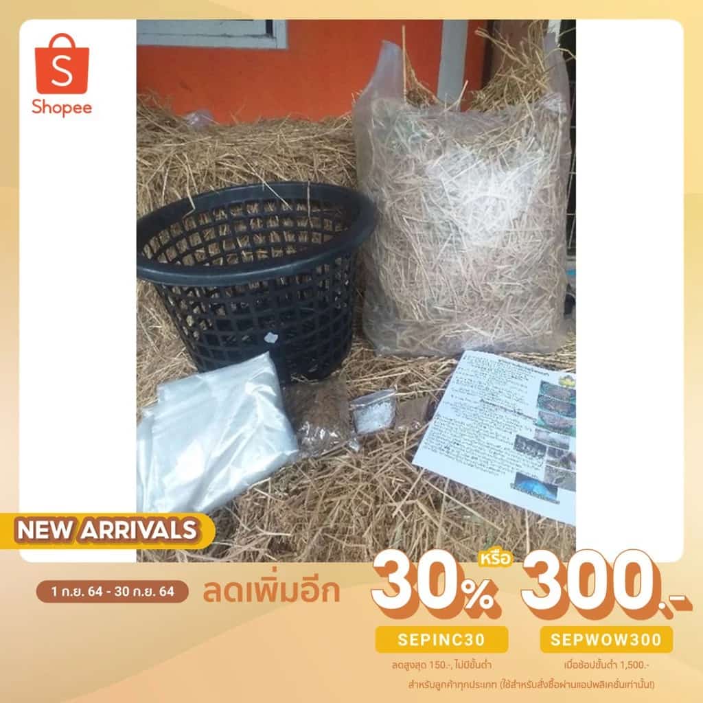 ลด 30% โค้ด SEPINC30 ชุดทดลองเพาะเห็ด เพาะเห็ด ชุดใหญ่