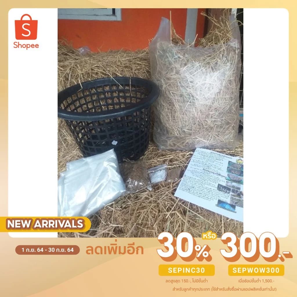🔥ลด 30% โค้ด SEPINC30🔥 ชุดทดลองเพาะเห็ด เพาะเห็ด ชุดใหญ่