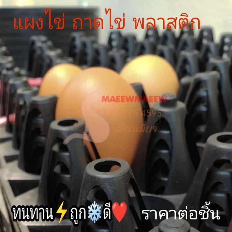ของใหม่ แผงไข่พลาสติก ดำ/ใหม่/เบอร์1-4(เล็ก)ไทย ถาดไข่ ใส่ไข่ไก่/ไข่เป็ด ลังไข่ ถาดไข่…