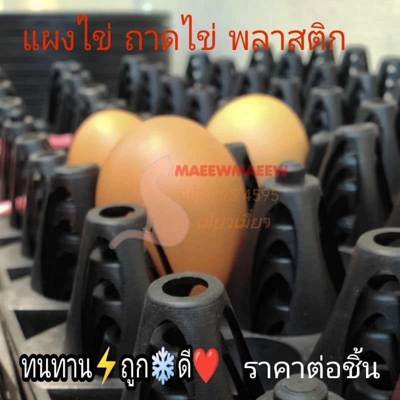 ของใหม่ แผงไข่พลาสติก ดำ/ใหม่/เบอร์1-4(เล็ก)ไทย ถาดไข่ ใส่ไข่ไก่/ไข่เป็ด ลังไข่ ถาดไข่…