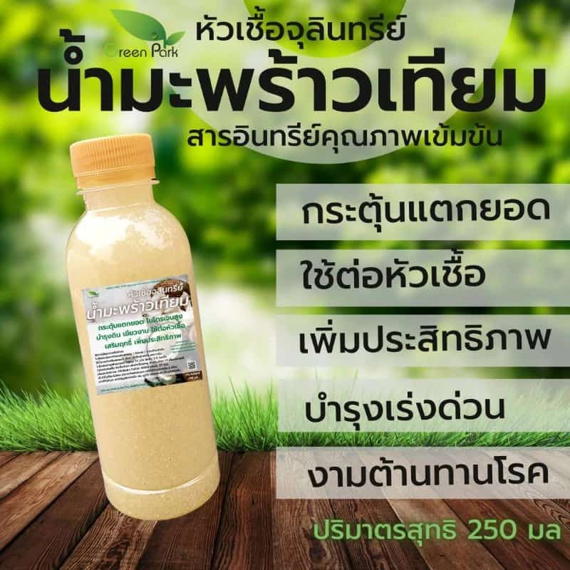 น้ำมะพร้าวเทียม ขนาด 250 มล. หัวเชื้อ จุลินทรีย์ ทดแทน น้ำมะพร้าว ต่อเชื้อ เร่ง แตกยอด เปิดตาดอก งาม ปุ๋ย ปุ๋ยน้ำ ชีวภาพ