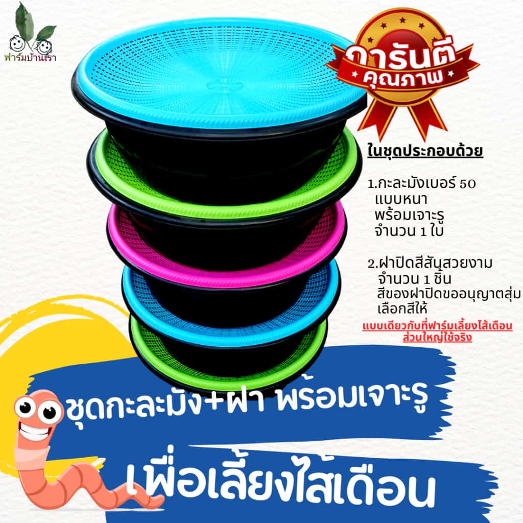 เซทกะละมังและฝาปิด ชุดกะละมังเลี้ยงไส้เดือน กะละมังเจาะรู พร้อมฝาปิด เพื่อเลี้ยงไส้เดือน…