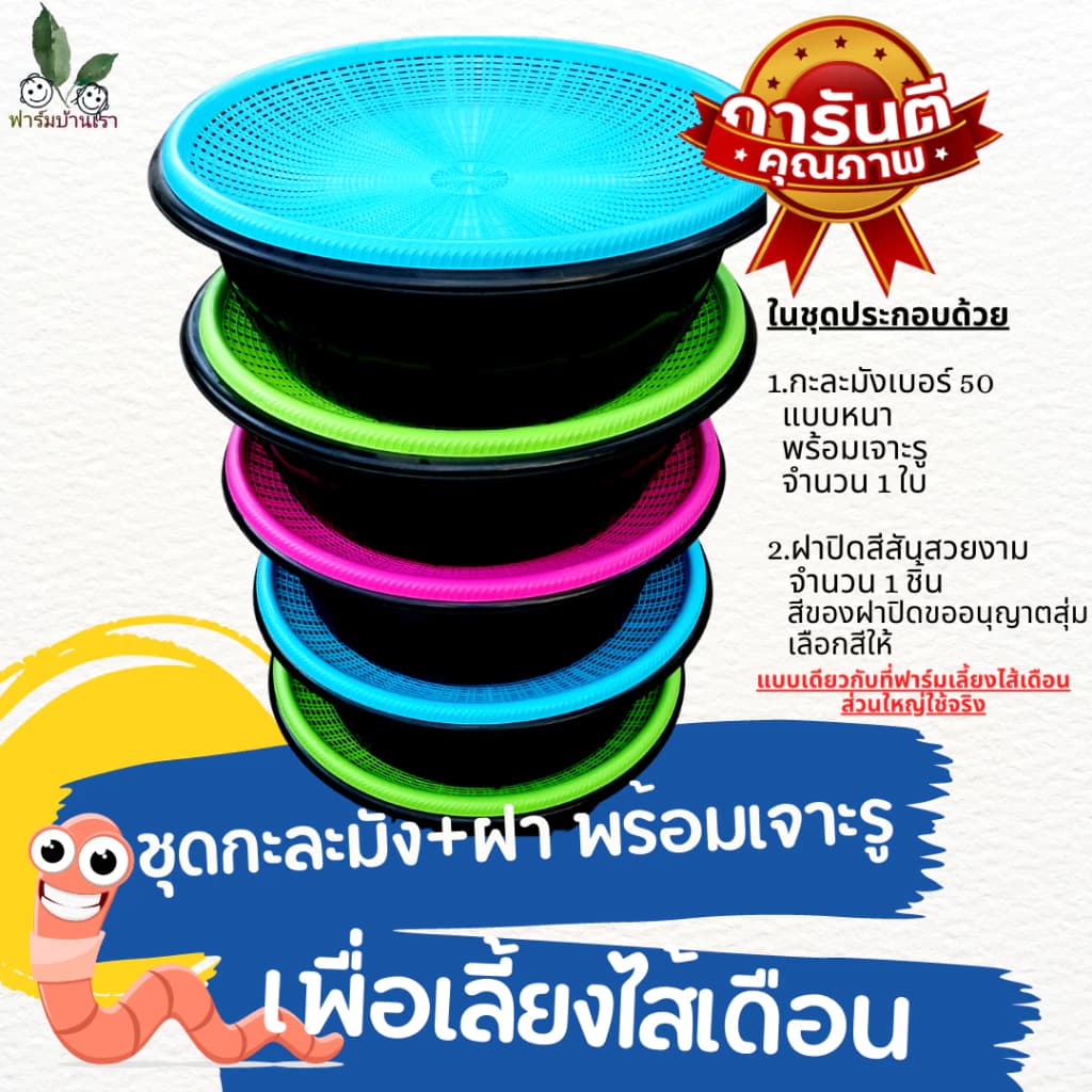 เซทกะละมังและฝาปิด ชุดกะละมังเลี้ยงไส้เดือน กะละมังเจาะรู พร้อมฝาปิด เพื่อเลี้ยงไส้เดือน อุปกรณ์เลี้ยงไส้เดือน แบบง่ายๆ