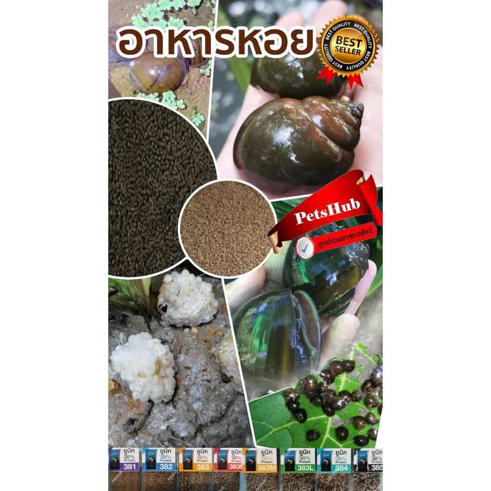 อาหารหอย อาหารสำหรับหอยขม อาหารหอยเชอร์รี่ อาหารหอยโข่ง…