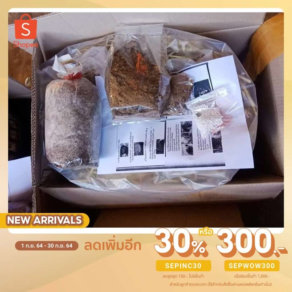 ลด 30% โค้ด SEPINC30 ชุดเพาะเห็ด ชุดทดลองเพาะเห็ด ชุดเล็ก