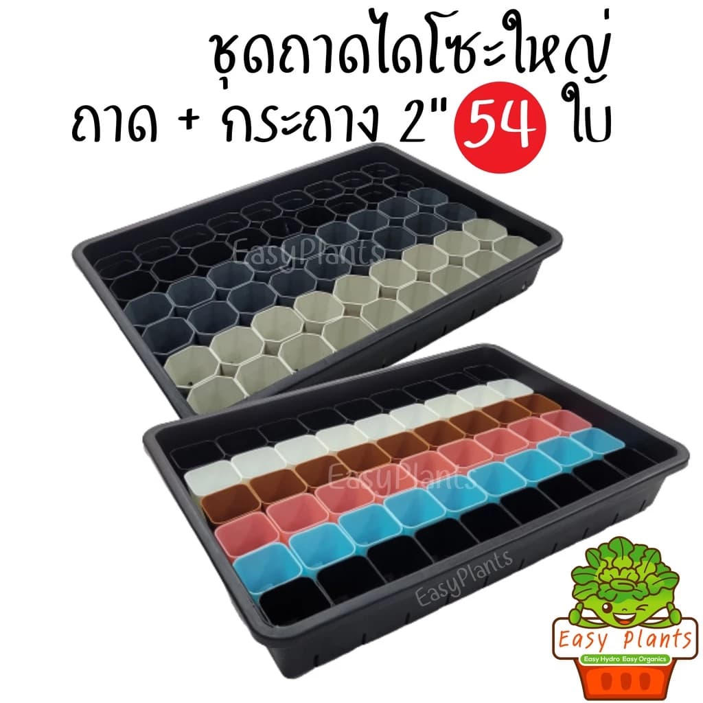 ถาดไดโซะพร้อมฝาครอบ กระถาง 2นิ้ว