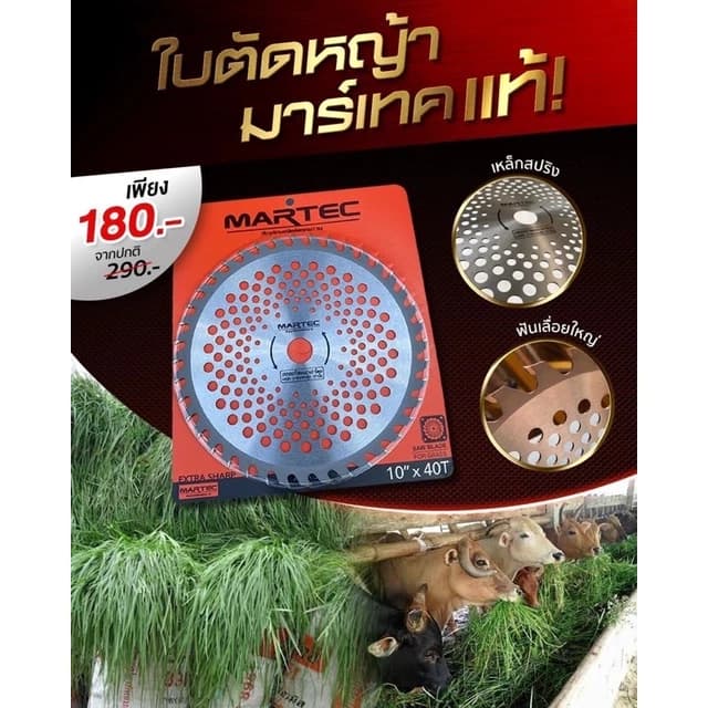ใบมีดตัดหญ้า 10นิ้ว