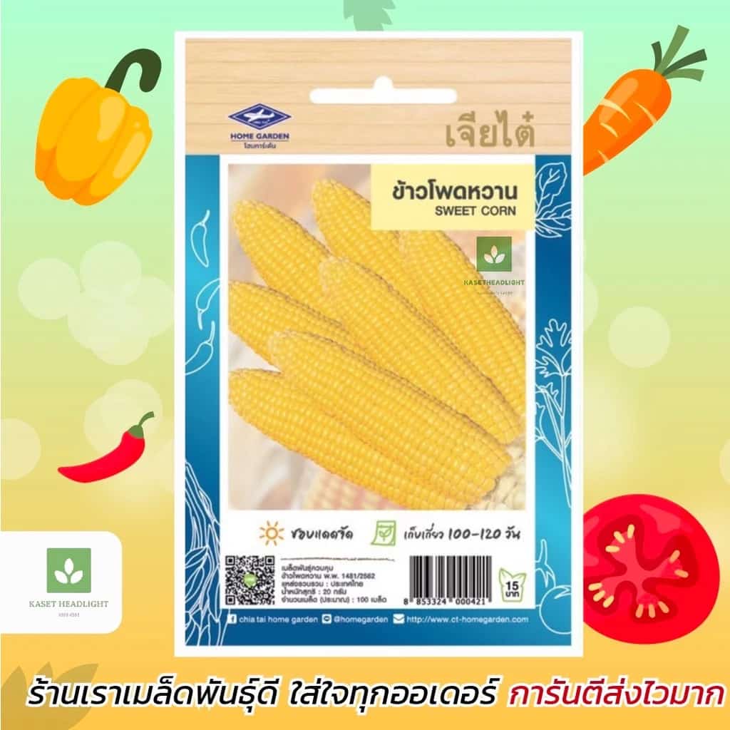 ข้าวโพดหวาน เจียไต๋ เมล็ดพันธุ์ข้าวโพดหวาน เมล็ดพันธุ์ ข้าวโพด