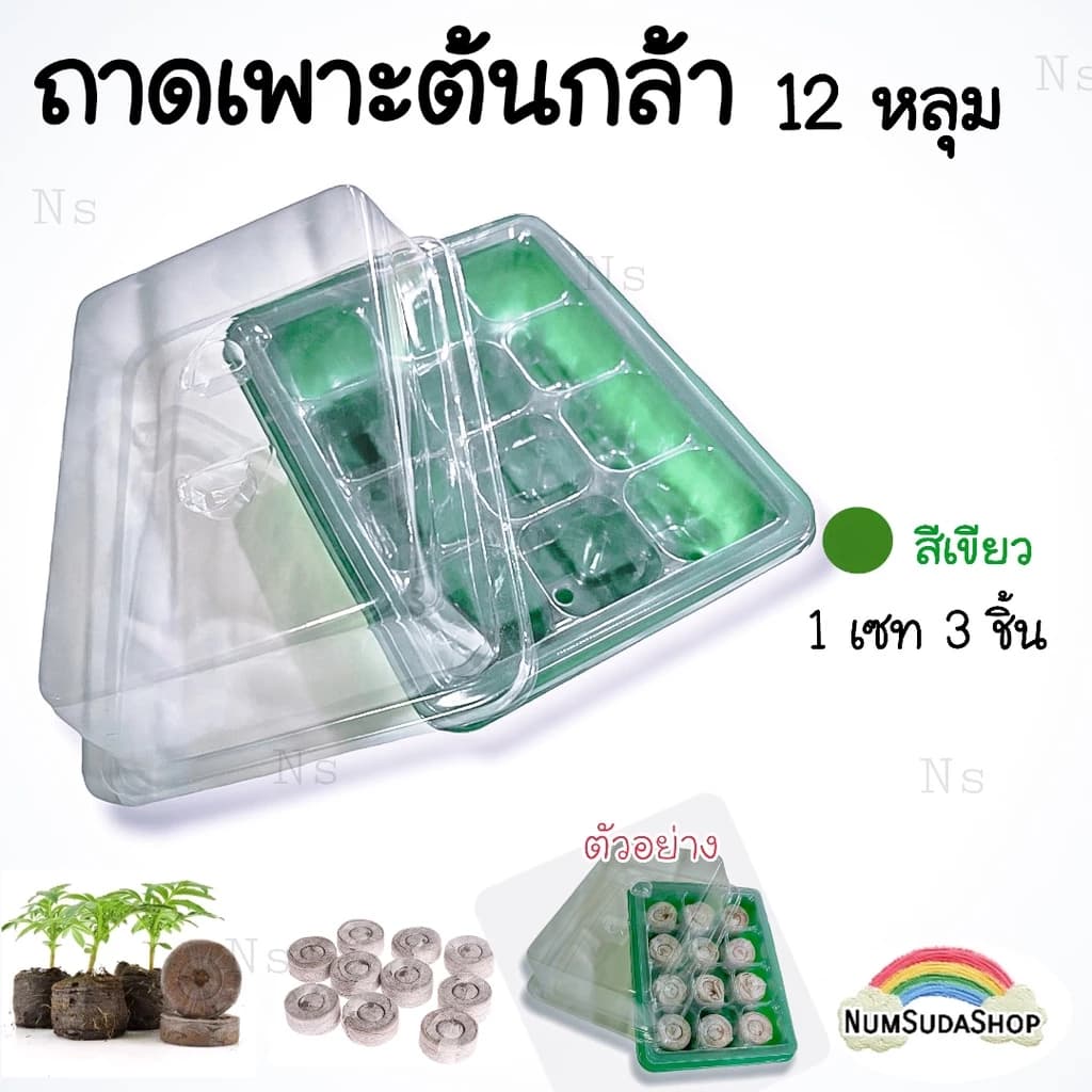 กล่องเพาะเมล็ดฝาปิด ชุดเพาะเมล็ด ถาดเพาะชำ
