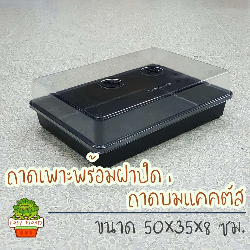 ถาดเพาะเมล็ด ถาดไดโซะ ถาดเพาะแคคตัส พร้อมฝาครอบ ถาดเพาะกล้า ฝาครอบเพาะเมล็ด ถาดเพาะชำ