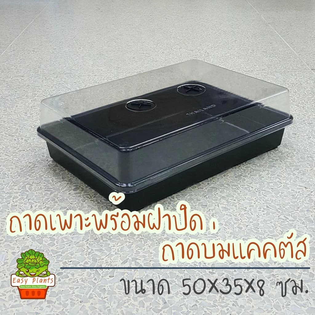 ถาดเพาะเมล็ด ถาดไดโซะ ถาดเพาะแคคตัส พร้อมฝาครอบ ถาดเพาะกล้า ฝาครอบเพาะเมล็ด ถาดเพาะชำ