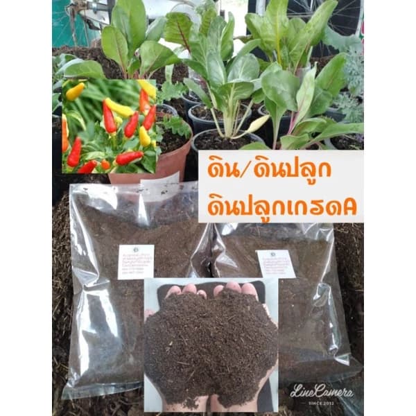 ดินปลูกต้นไม้ ดินอินทรีย์ 100% ดินพร้อมปลูก