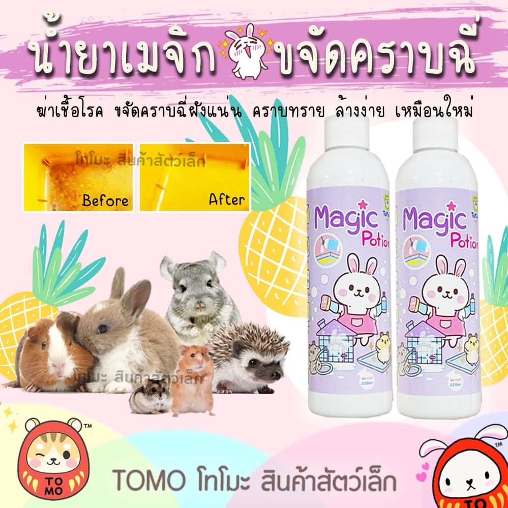 ร้านโทโมะ TOMORI น้ำยา เมจิก โทโมริ ขจัดคราบฉี่ฝังแน่น ฆ่าเชื้อโรค ขจัดกลิ่น ถาดรองกรง…