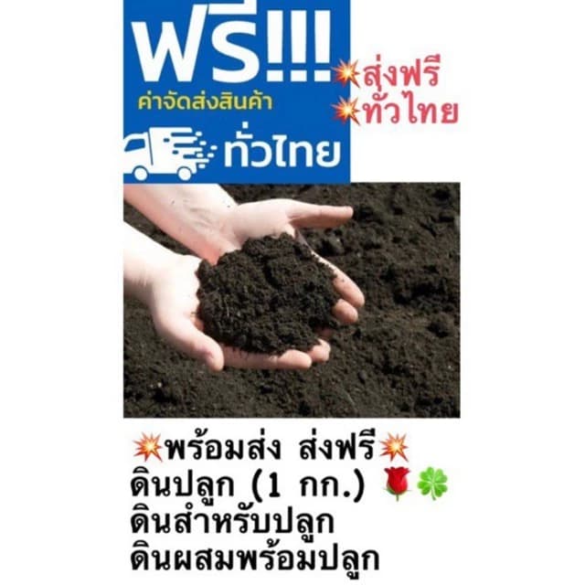 ดินปลูก 1 กก. ดินปลูกต้นกุหลาบ ดินปลูกแคคตัส