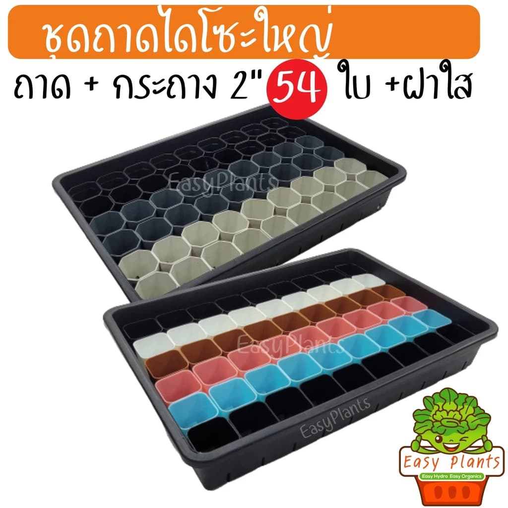 ถาดไดโซะพร้อมฝาครอบ กระถาง 2นิ้ว