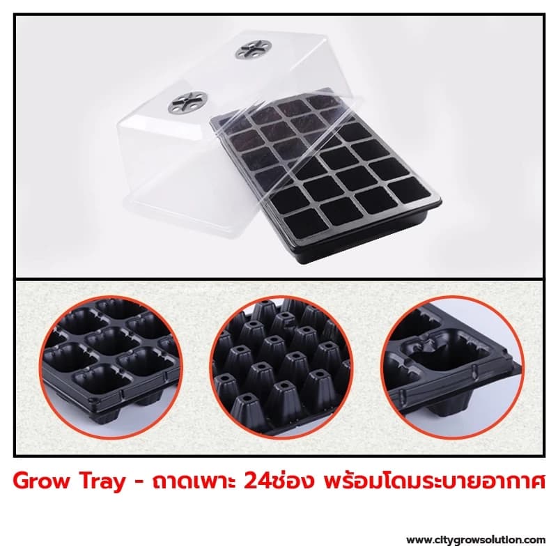 Grow Tray กล่องเพาะ 24ช่อง พร้อมฝาปิดระบายอากาศ