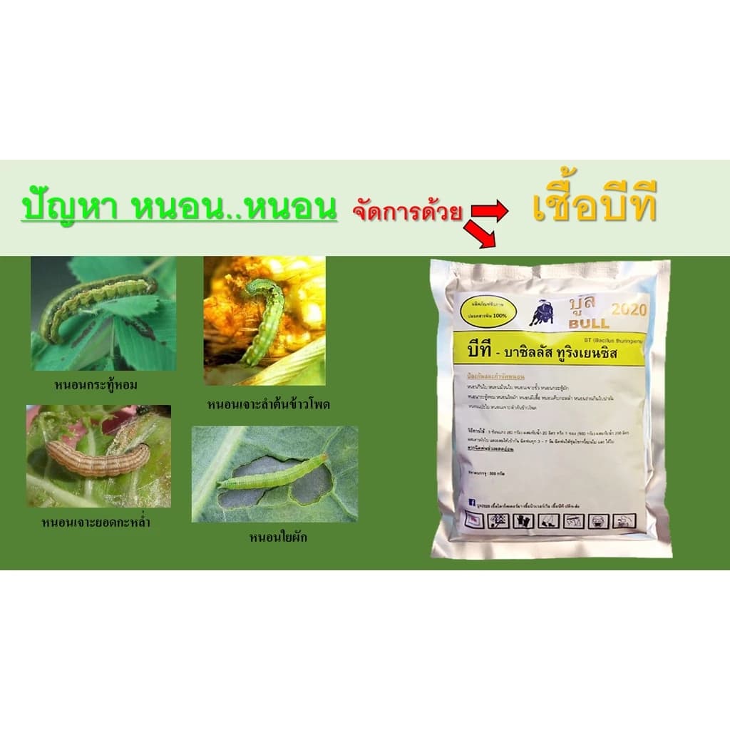 บูลบีที เชื้อบีที บาซิลลัส ทูริงเยนซิส 500g. - BT ชีวภัณฑ์ ป้องกัน และ กำจัด หนอนทุกชนิด 500g…