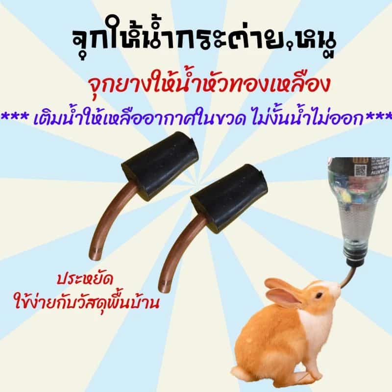 จุกป้อนน้ำกระต่าย จุกให้น้ำกระต่าย ขวดให้น้ำกระต่าย ขวดน้ำกระต่าย ขวดน้ำหนู จุกป้อนน้ำกระต่าย…