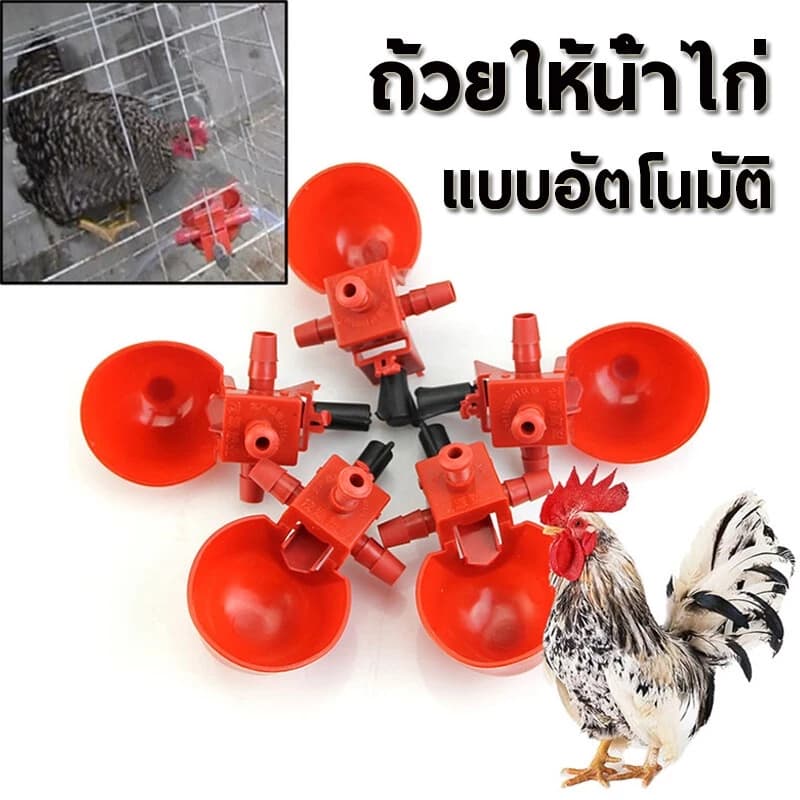 ถ้วยให้น้ำอัตโนมัติ ปรับน้ำได้ ถอดล้างได้