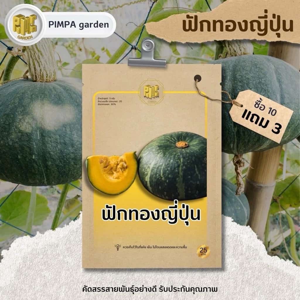 เมล็ดพันธุ์ฟักทองญี่ปุ่น 10แถม3 เมล็ดพันธุ์ราคาถูก เมล็ดพันธุ์ปลีกและส่ง เมล็ดพันธุ์คุณภาพ…