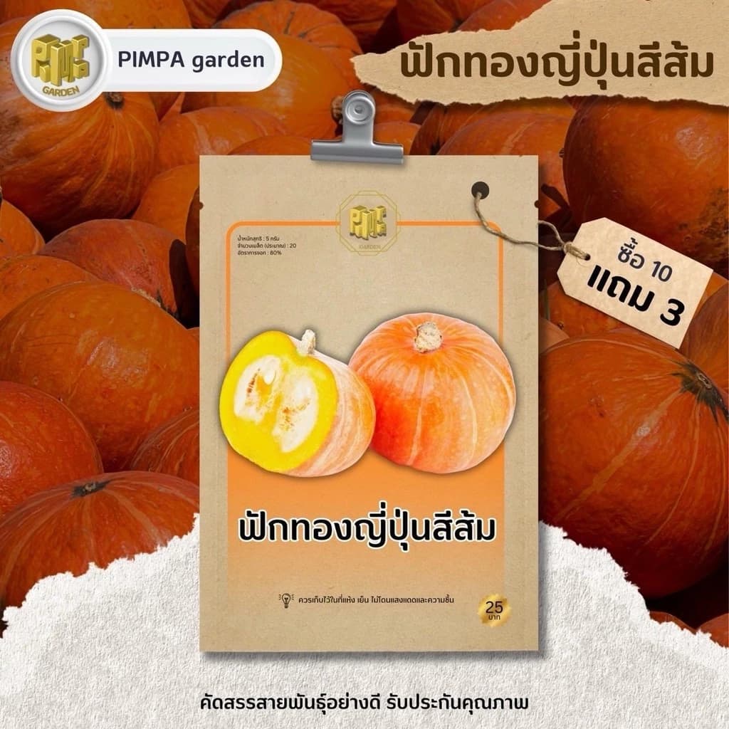 เมล็ดพันธุ์ฟักทองญี่ปุ่นสีส้ม