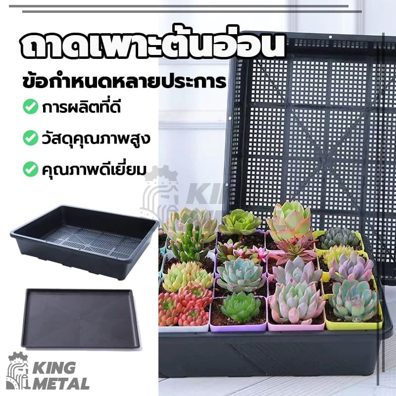 ถาดเพาะกล้า ถาดทึบ มีรู กล้าข้าว