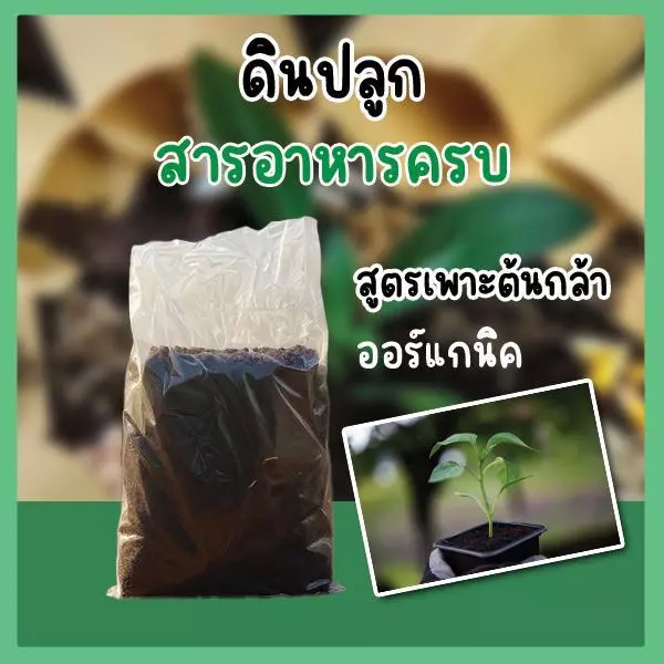 ดินพร้อมปลูก ดินปลูกต้นไม้ ดินปลูกผัก