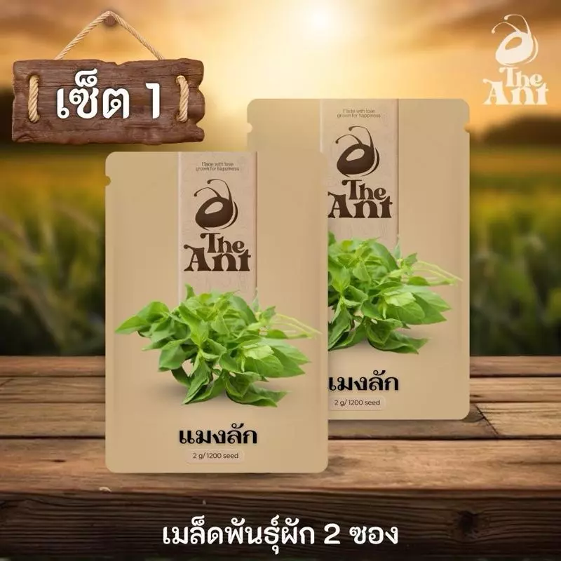 เมล็ดพันธุ์แมงลัก พร้อมชุดปลูกผัก