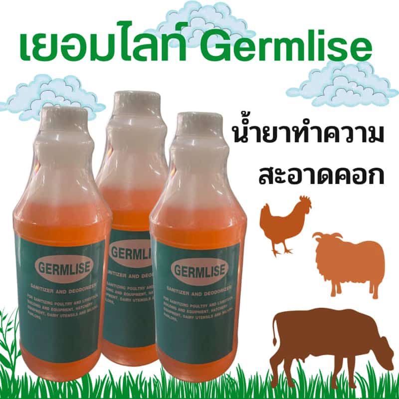 เยอมไลท์ GERMLISE 500 cc นํ้ายาทําความสะอาดคอกไก่ เล้าไก่ สถานที่เลี้ยงไก่…