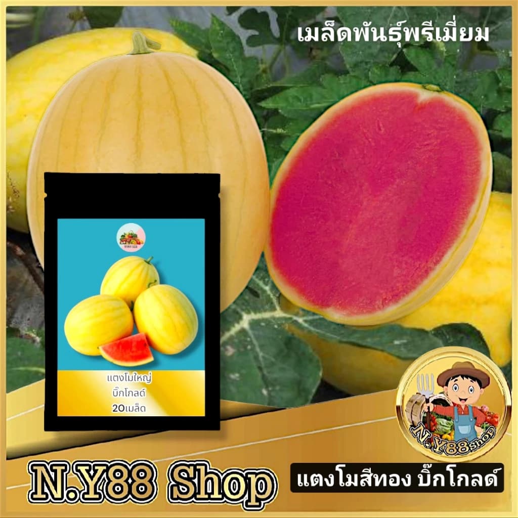 เมล็ดพันธุ์แตงโมสีทอง บิ๊กโกลด์ 20 เมล็ด
