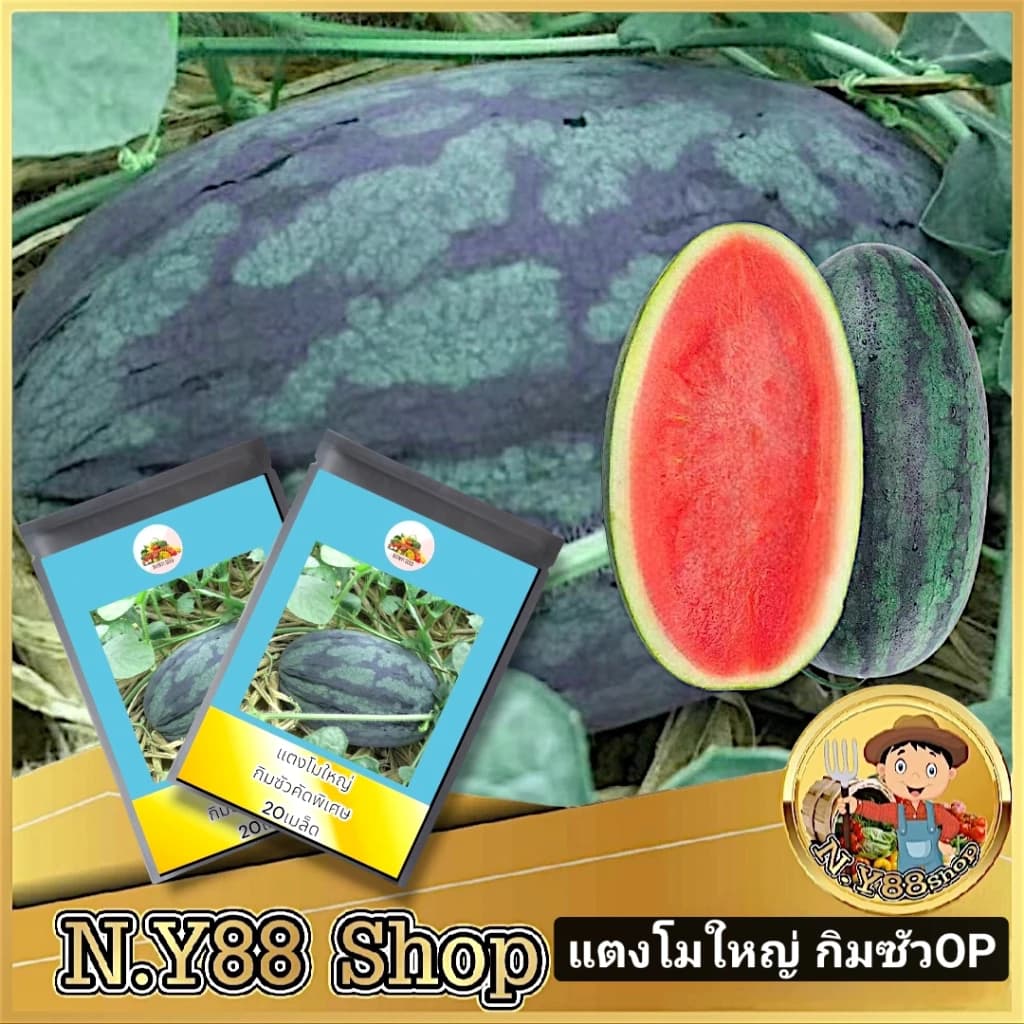 เมล็ดพันธุ์แตงโมใหญ่ กิมซัวOP 20เมล็ด