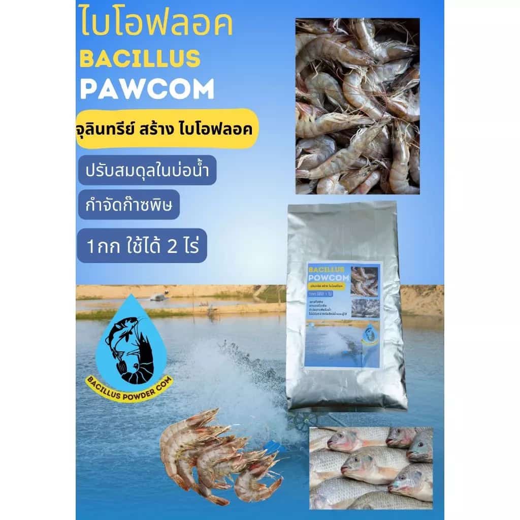 จุลินทรีย์ ไบโอฟล็อค ปรับสภาพน้ำบ่อกุ้ง บ่อปลา พร้อมใช้ บาซิลัส พาวคัม