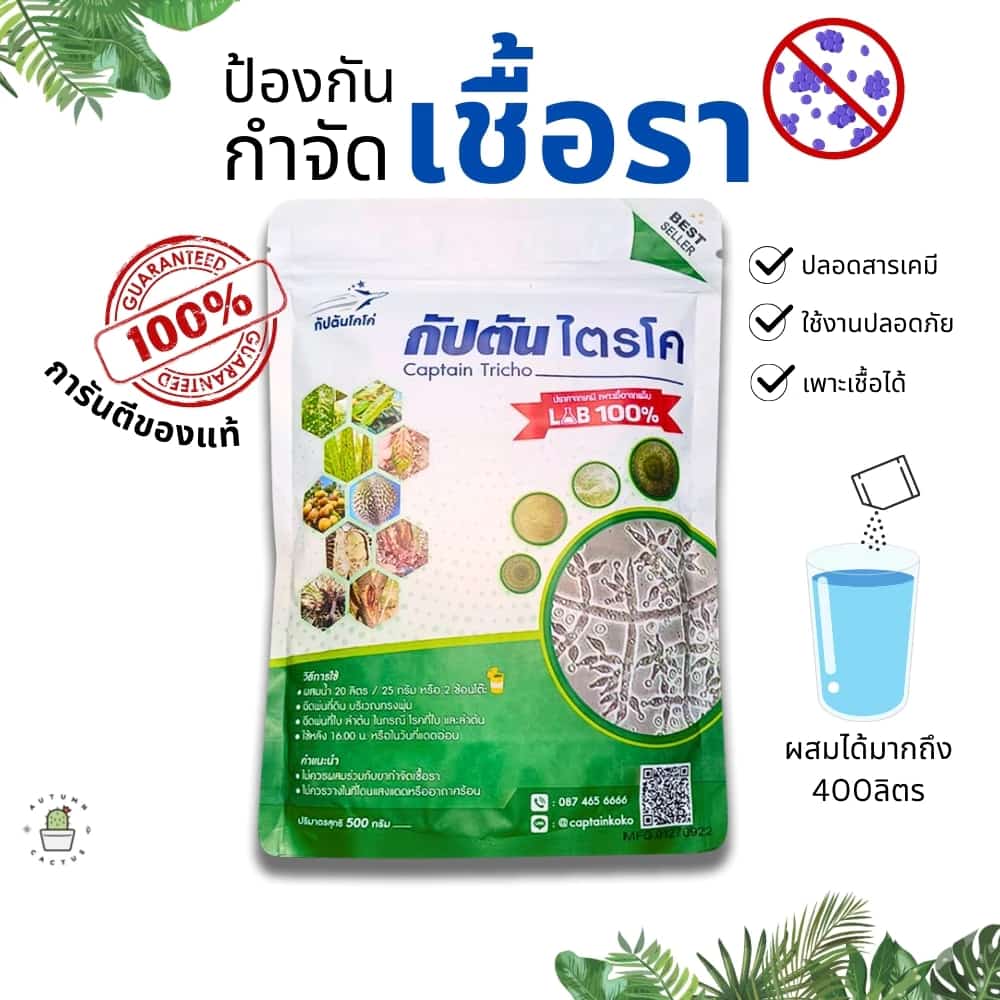 ไตรโคเดอร์มา ไตรโคเดอม่า ไตโคเดอร์มา ป้องกันเชื้อรา กำจัดโรคพืช เพาะเชื้ิอได้ ตรากัปตันโคโค่