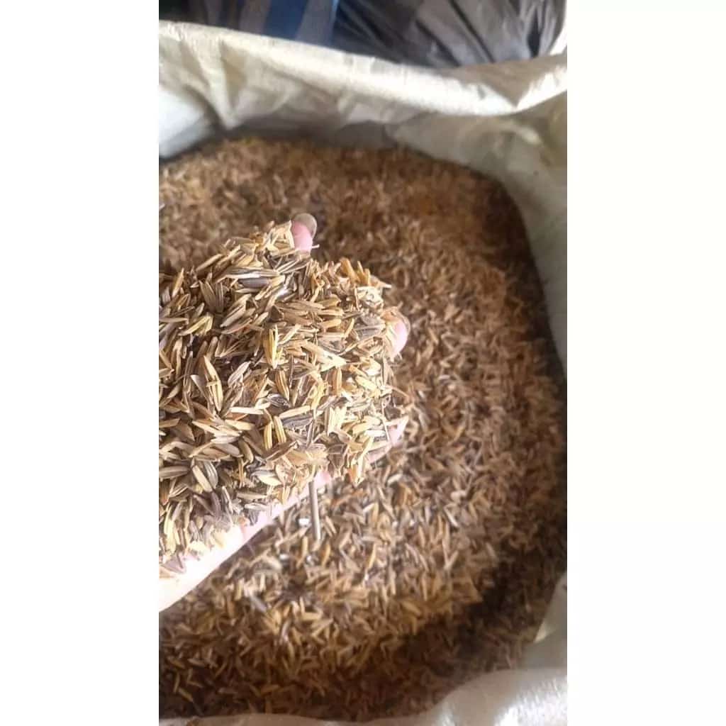 แกลบข้าว แกลบข้าวเปลือก แกลบดิบ กระสอบละ 99 บาท ขนาด 7-9 กิโล…