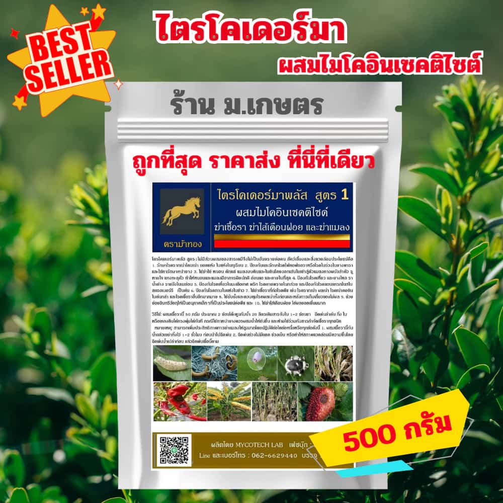 เชื้อราไตรโคเดอร์มา 500 กรัม ราคาส่ง เชื้อจุลินทรีย์ ชีวภัณฑ์ ราคาถูกที่สุด เชื้อไตรโคเดอร์มาพลัสไมโคอินเซคติไซด์ สูตร 1