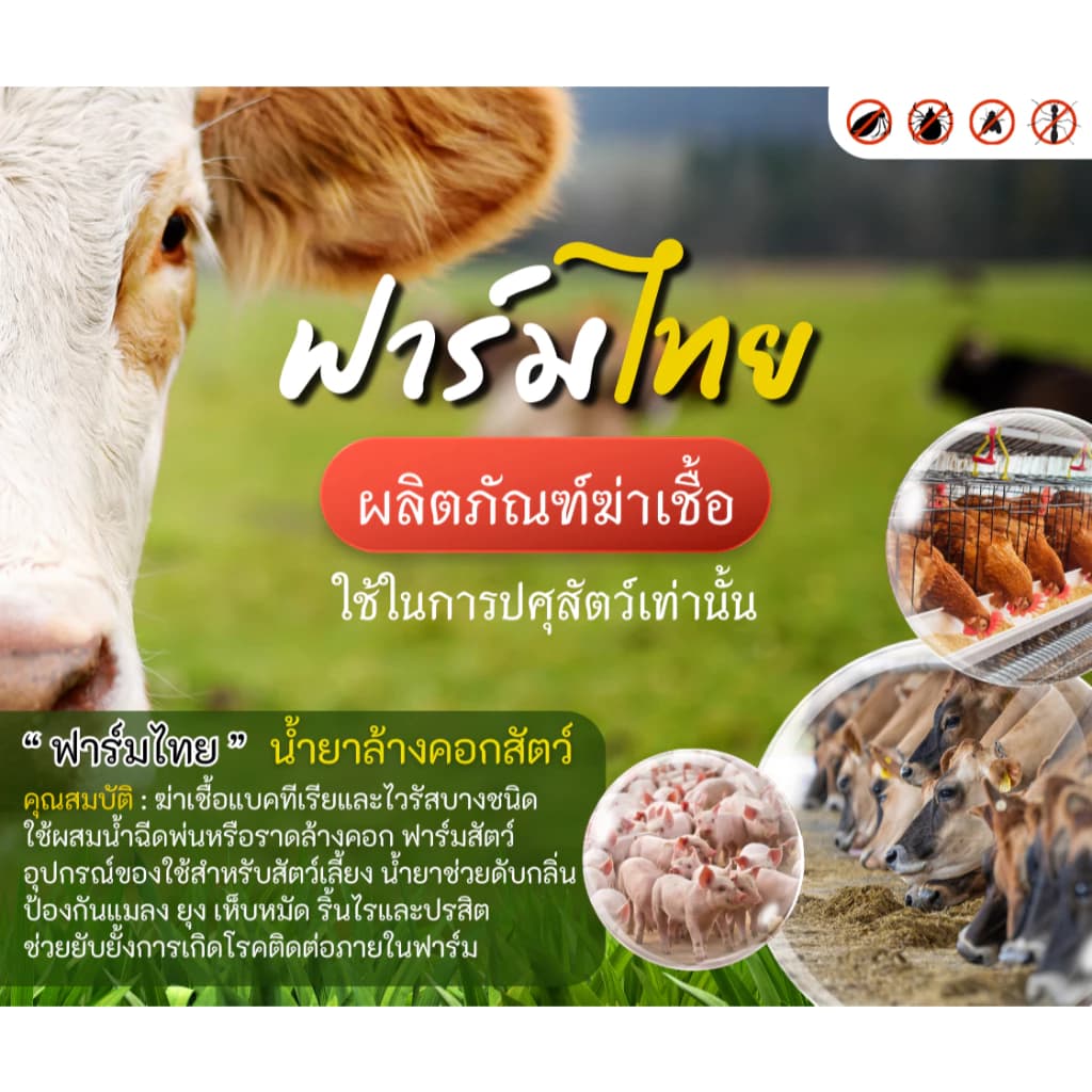 ฟาร์มไทย ผลิตภัณฑ์ฆ่าเชื้อ ขนาด 5 ลิตร น้ำยาล้างกรง ล้างคอก ล้างพื้น น้ำยาทำความสะอาด ล้างคอกสัตว์ ดับกลิ่น น้ำยาถูพื้น